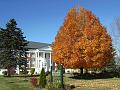 Biddeford (76)